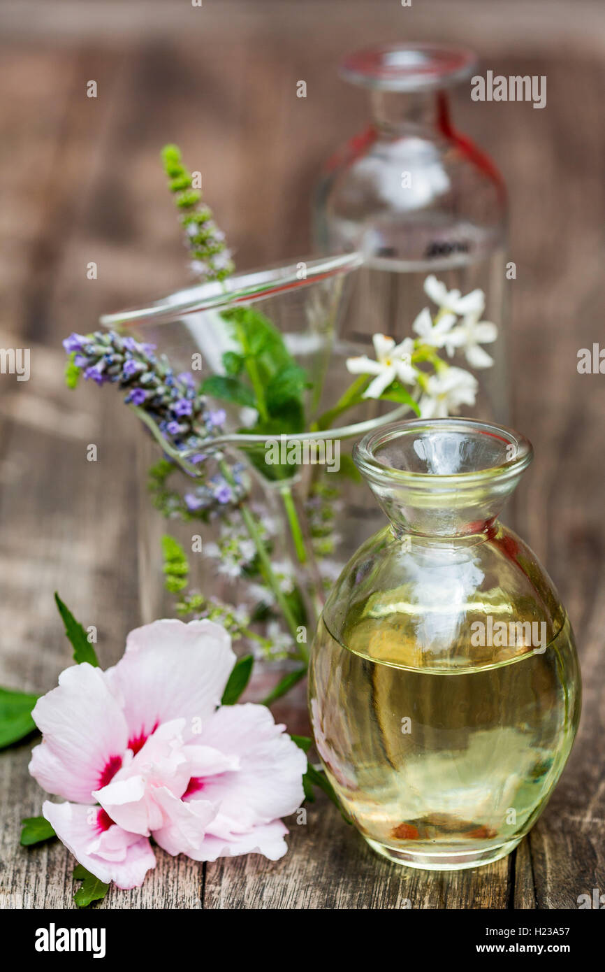 Olio essenziale. Foto Stock