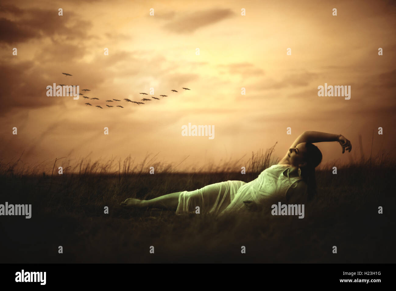 Giovane bella donna sdraiati sull'erba nel campo durante il tramonto Foto Stock