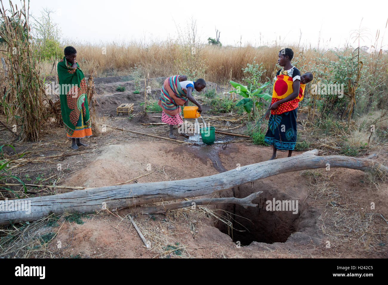 Distretto Lalaua, Nampula Provincia, Mozambico, Agosto 2015: Laurinda Diego con cataratta bilaterale a casa. Essere ciechi ha bisogno di aiuto per prendere l'acqua da un pozzo vicino. Foto di Mike Goldwater Foto Stock