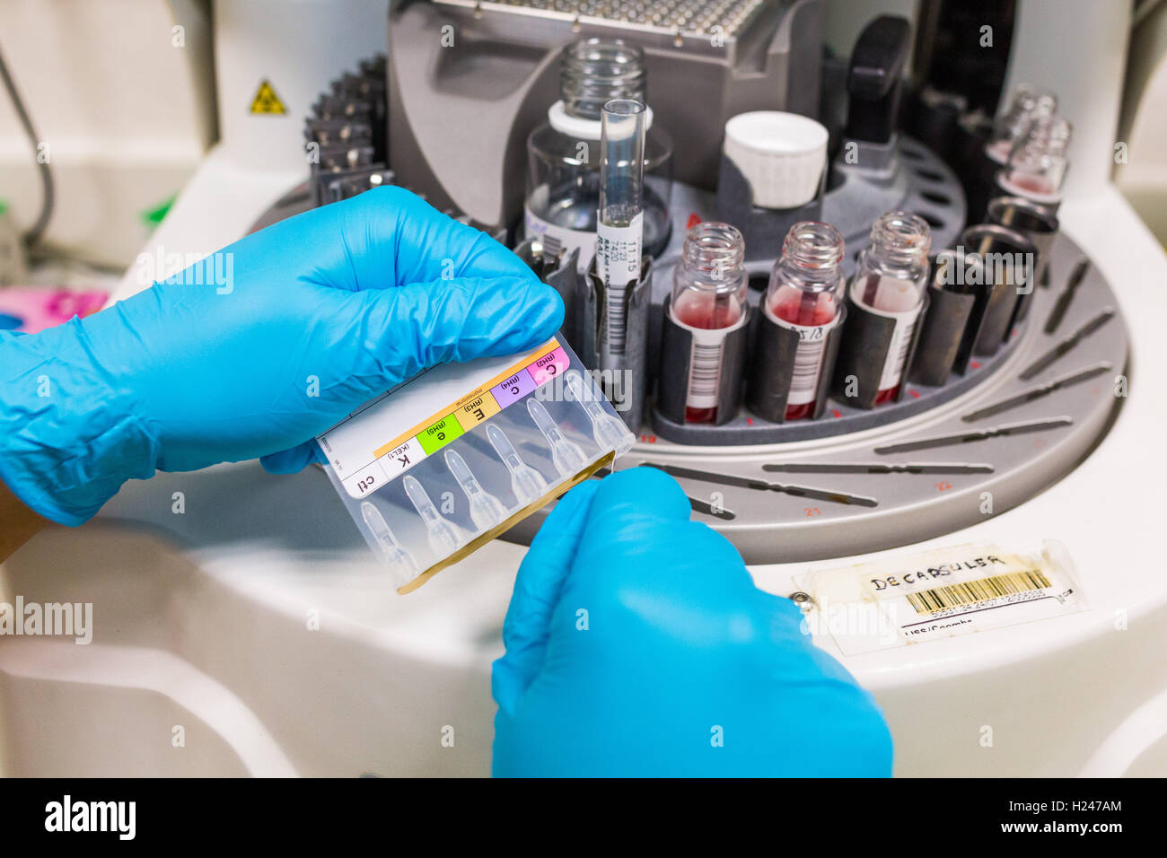 I campioni di sangue in flaconcini su una macchina centrifuga. Foto Stock