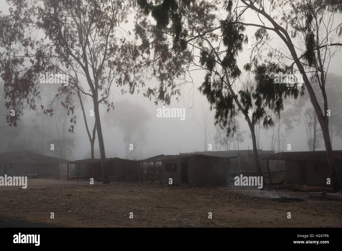 Villaggio Namina, Nampula Provincia, Mozambico, Agosto 2015: nebbia nelle prime ore della mattinata sulla strada per il villaggio di Nmina. Foto di Mike Goldwater Foto Stock