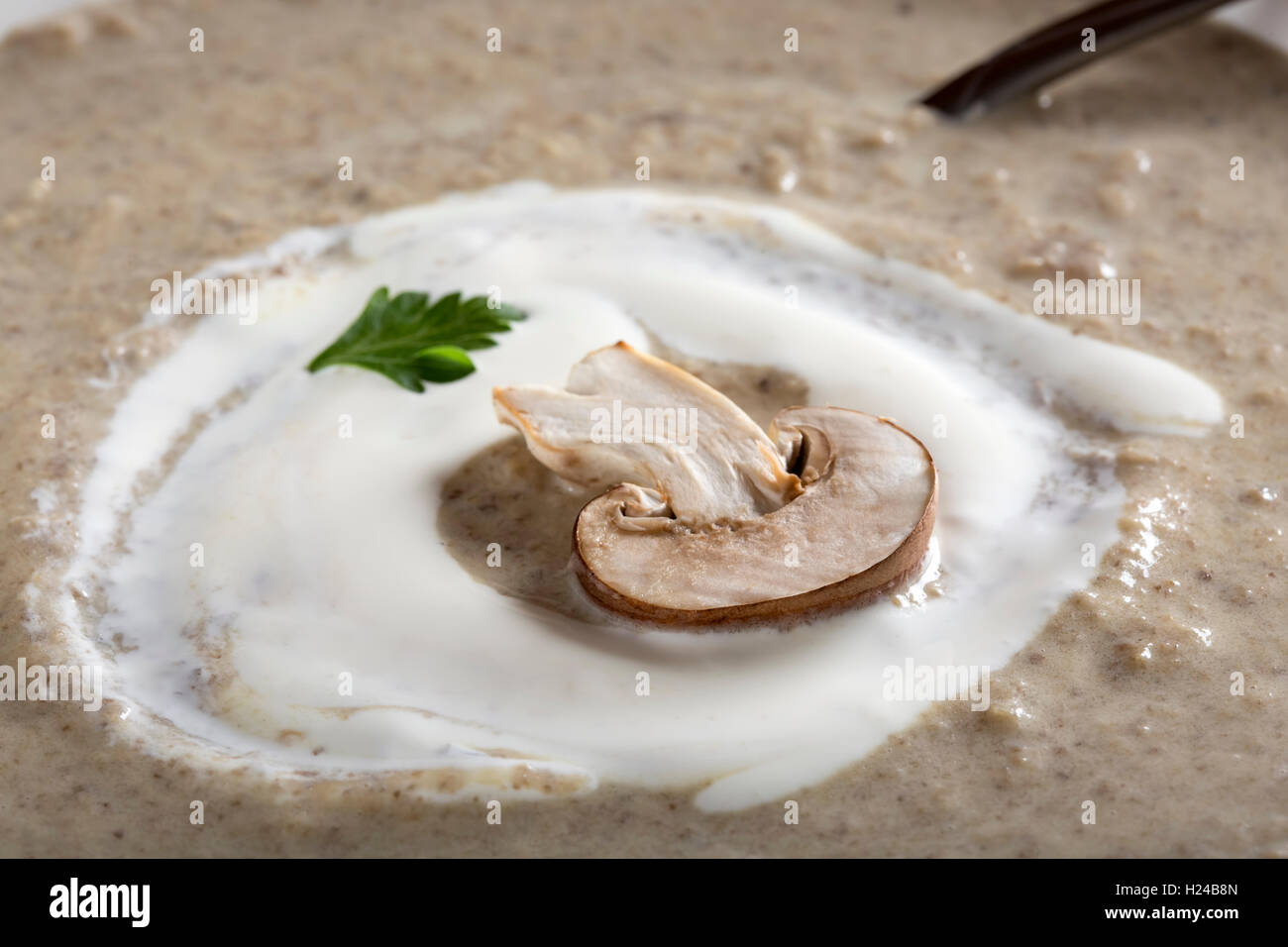 Close up di panna fresca di zuppa di porcini con cucchiaino Foto Stock