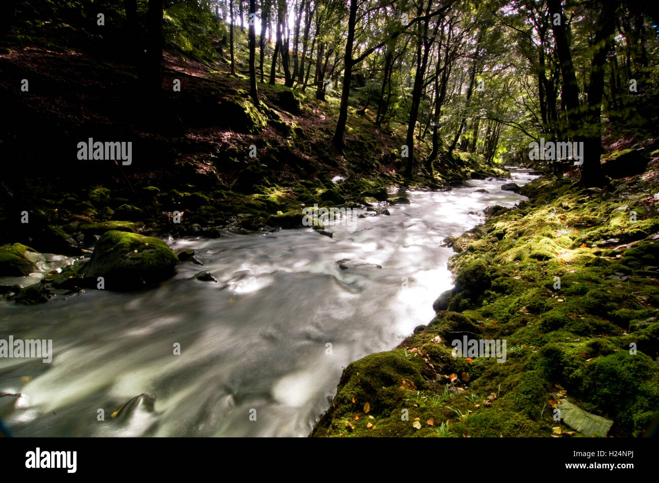 Fiume flusso Artro Foto Stock