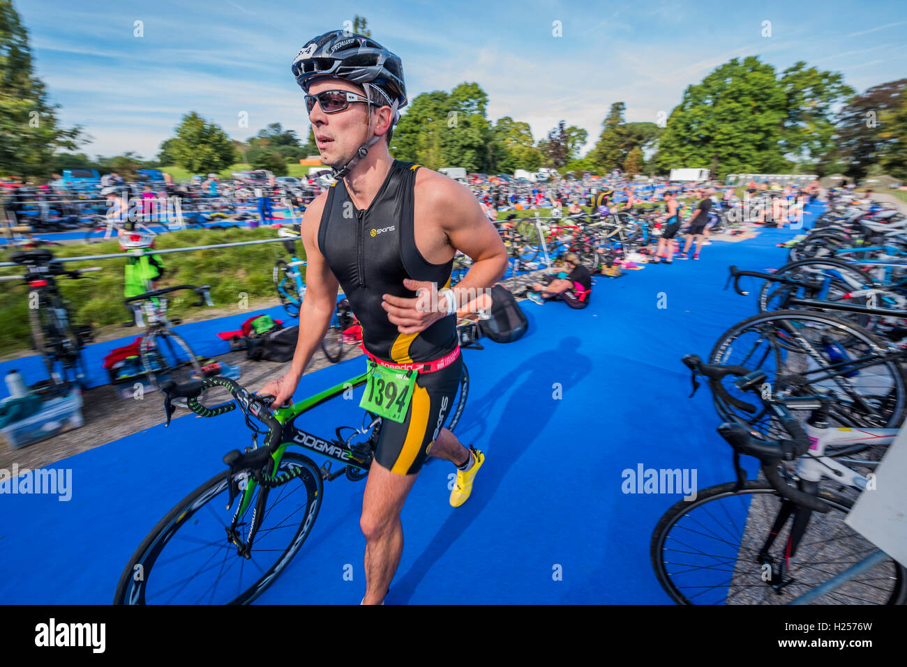 Il castello di Hever, Kent, Regno Unito. 24Sep, 2016. La transizione tra il nuoto e il ciclismo - concorrenti godere il caldo condizioni soleggiate durante la partecipazione nel castello di Hever Triathlon. Credito: Guy Bell/Alamy Live News Foto Stock