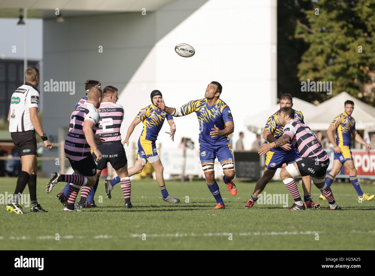 Parma, Italia. 24Sep, 2016. Zebre captain Quentin Geldenhuys tenta di catturare la sfera nella partita contro il Cardiff Blues © Massimiliano Carnabuci/Alamy news Foto Stock