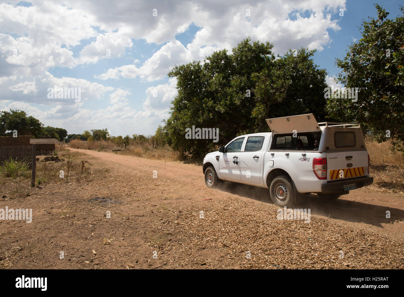 Ribaue, Nampula Provincia, Mozambico, Agosto 2015: progetto Sightsavers veicolo portante benificiaries sul modo di Lalaua distretto. Foto di Mike Goldwater Foto Stock