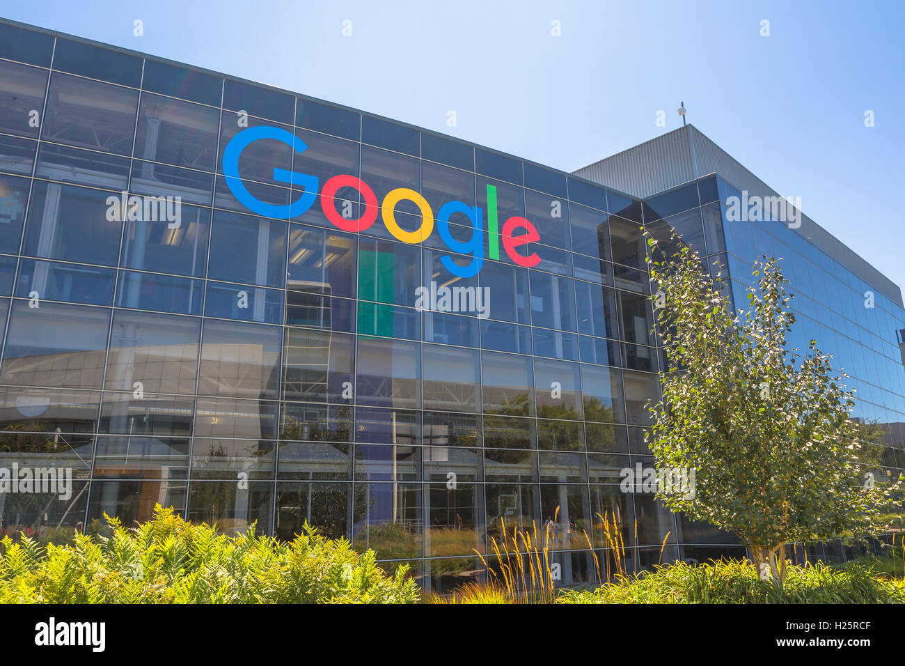 Icona di Google segno Foto Stock