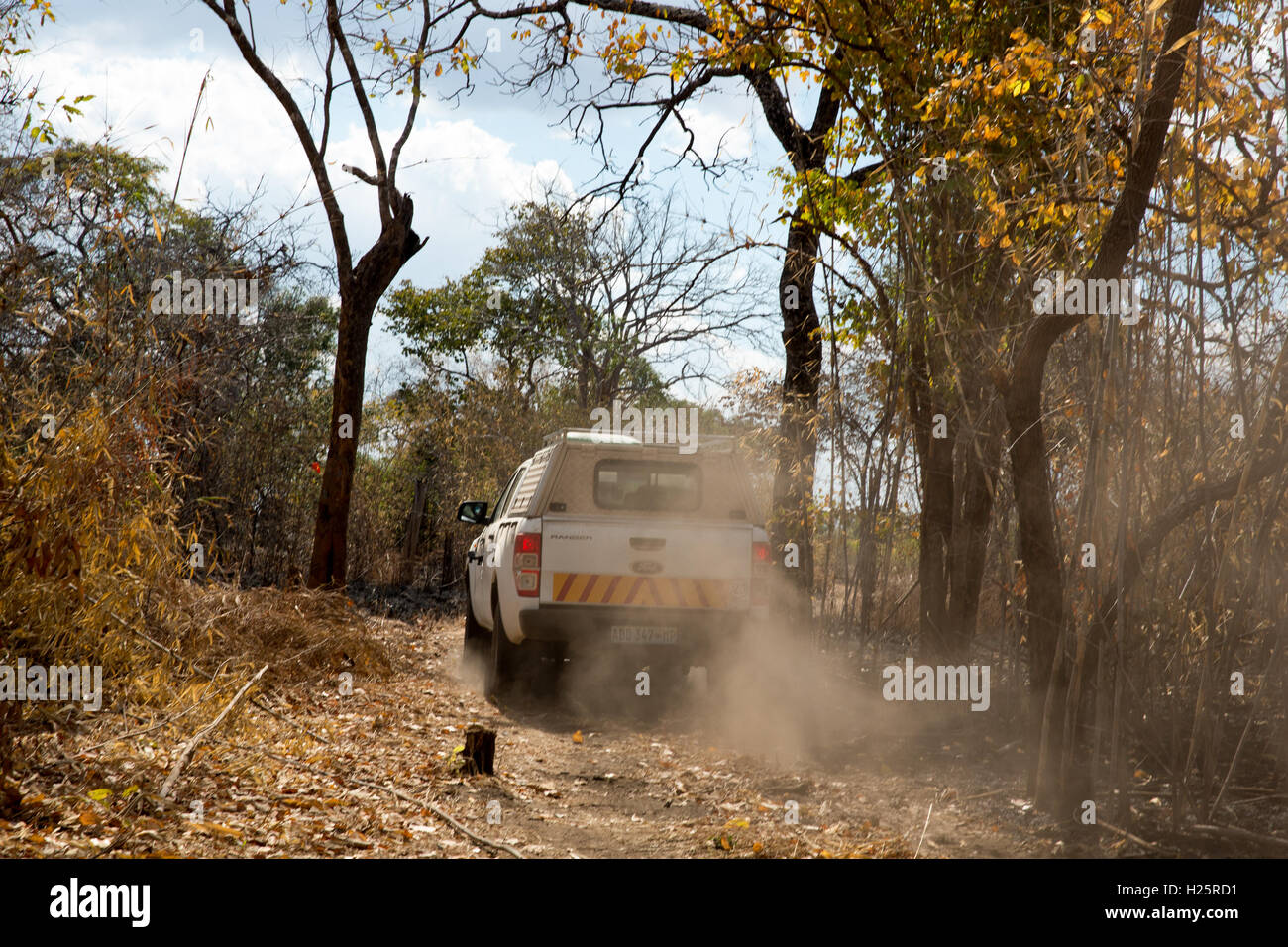 Ribaue, Nampula Provincia, Mozambico, Agosto 2015: progetto Sightsavers veicolo portante benificiaries sul modo di Lalaua distretto. Foto di Mike Goldwater Foto Stock