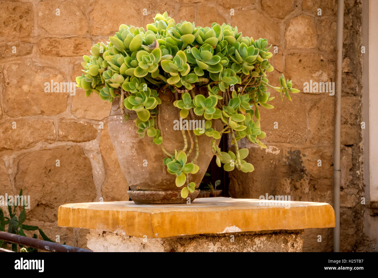 Il San Barnaba convento e museo di icone in Cipro Foto Stock