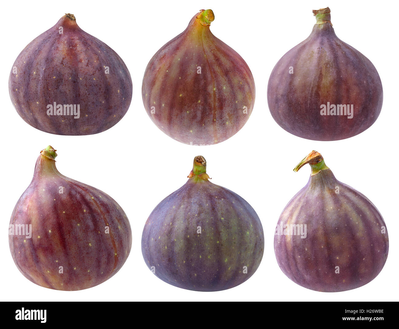 Isolate le figg. Raccolta di vari fig frutti isolati su sfondo bianco con tracciato di ritaglio Foto Stock