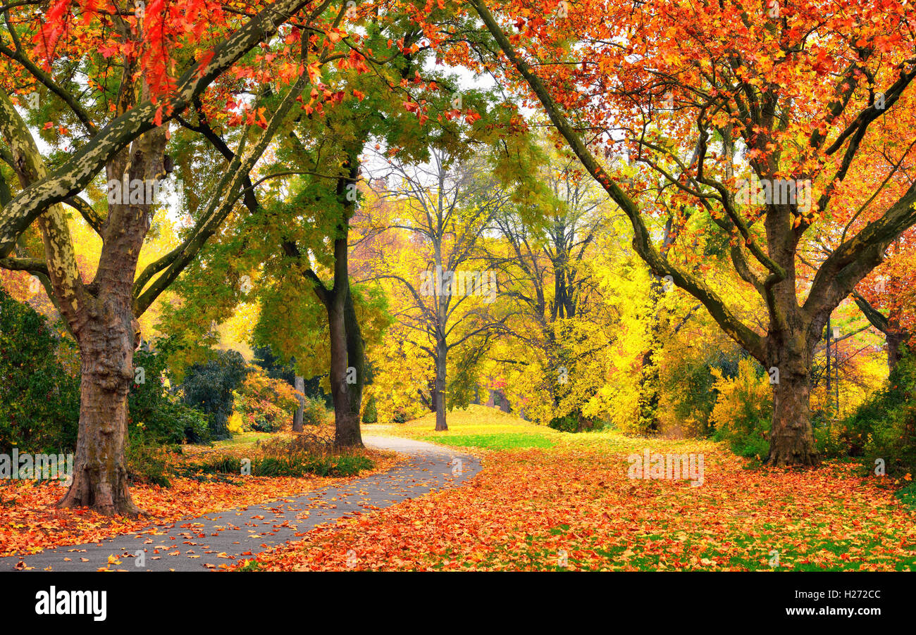 Paesaggio autunnale di un parco con colori caldi, foglie sul prato e un sentiero che conduce in scena Foto Stock
