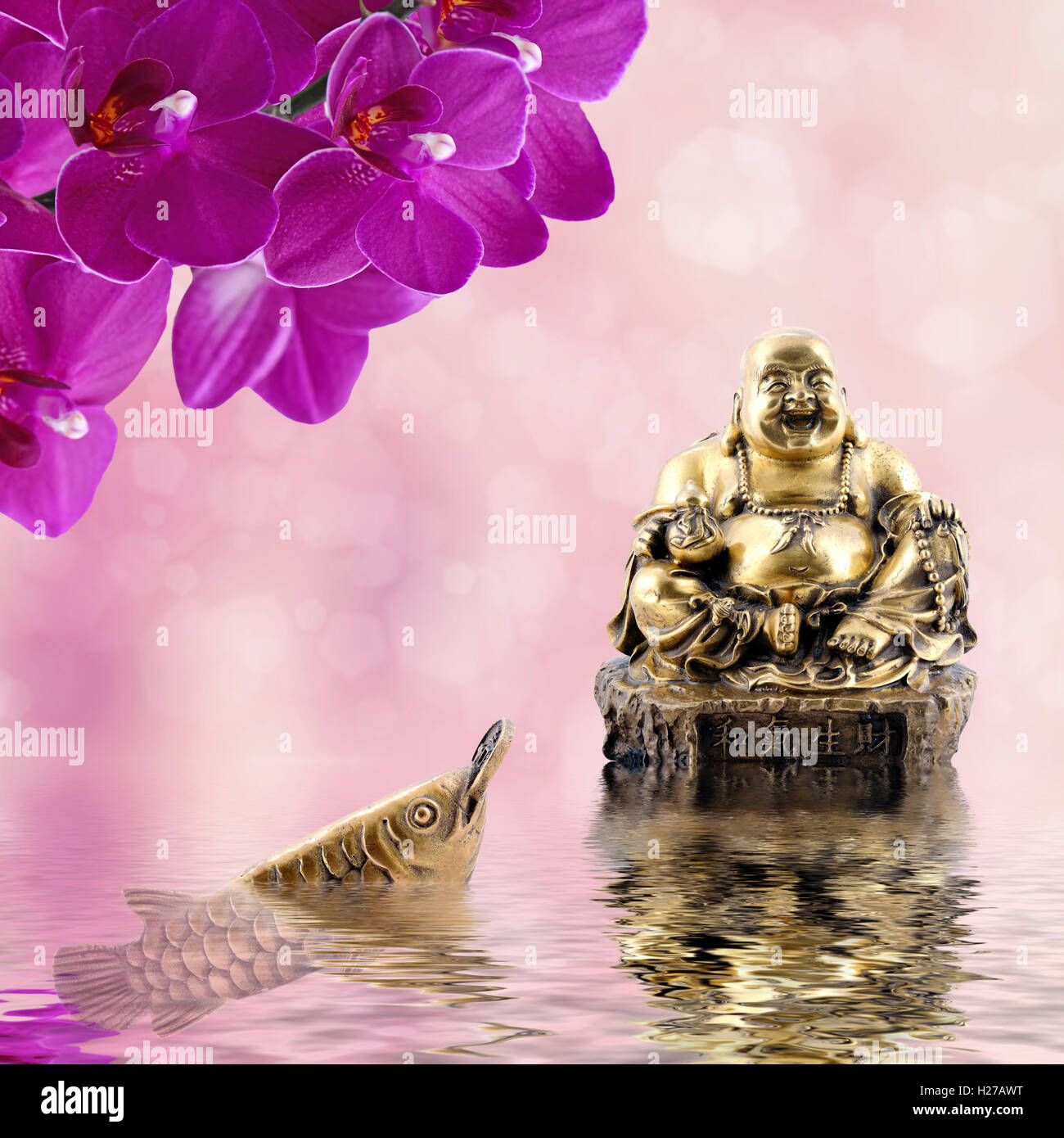 Buddha Sorridente,fiori di orchidea,arowana con moneta si riflette nell'acqua.Il simbolo di ricchezza e di grande fortuna in arredate in stile Feng Shui Foto Stock