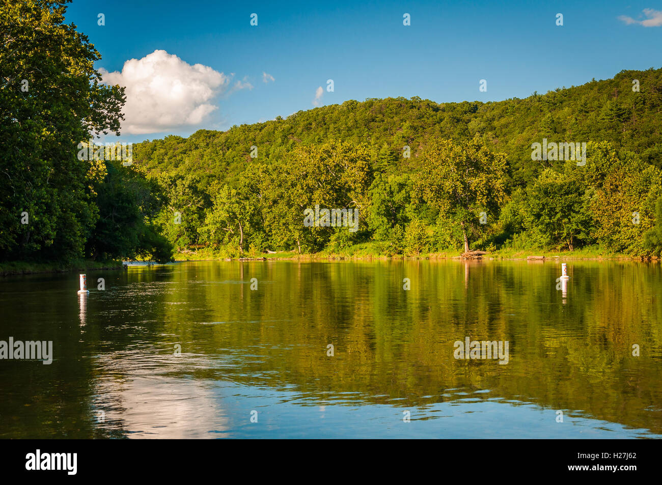 Il fiume Shenandoah, nel rurale Shenandoah Valley della Virginia. Foto Stock