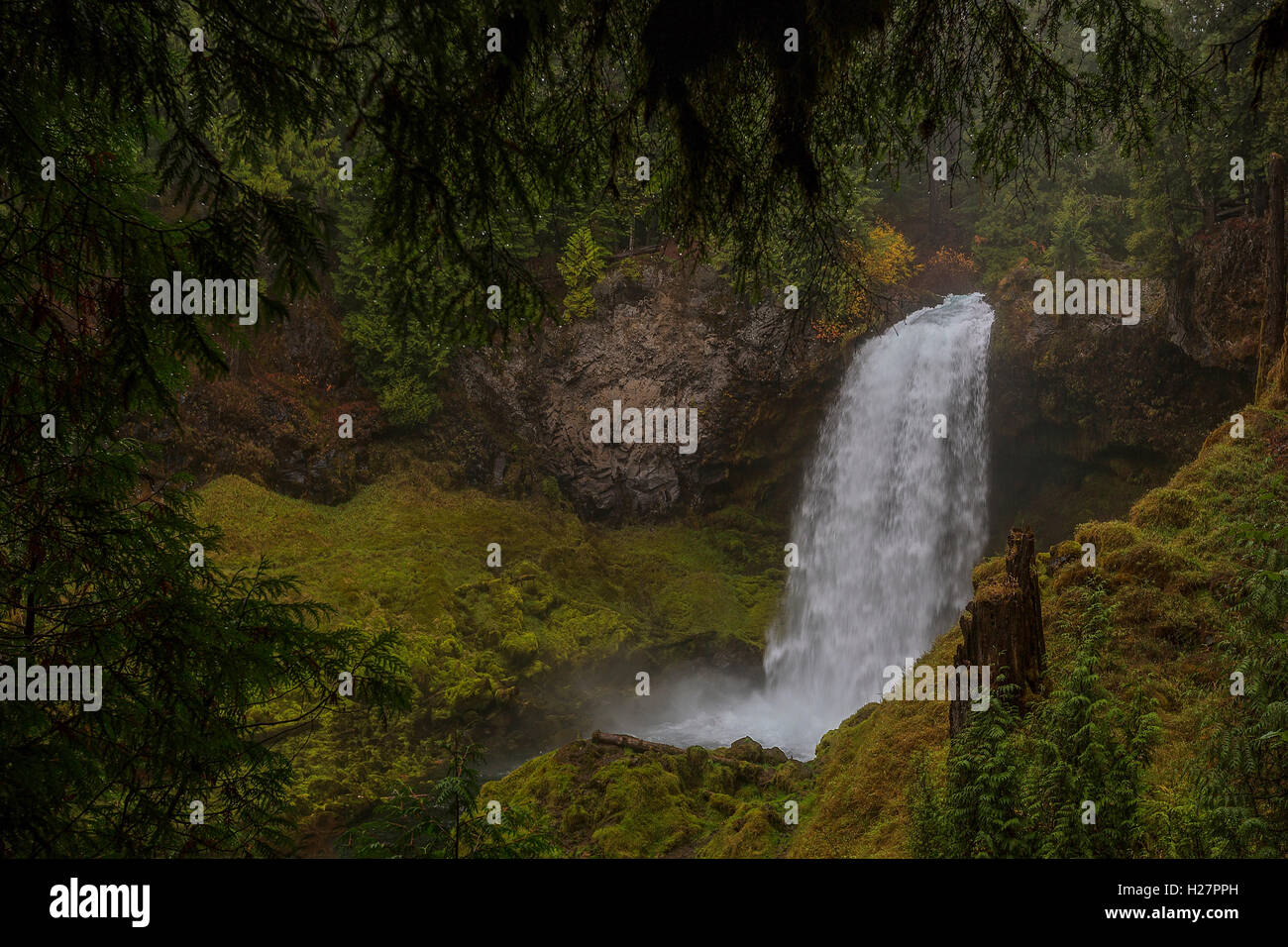 Sahalie Falls, McKenzie River, Cascades, Oregon, Stati Uniti d'America Foto Stock