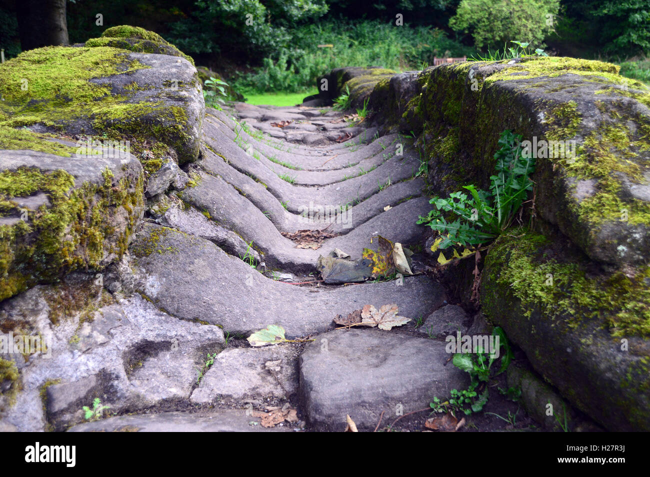 In prossimità della scanalatura usurata in Packhorse Bridge nella frazione di Wycoller, Colne, Pendle, Lancashire, Inghilterra, Regno Unito. Foto Stock