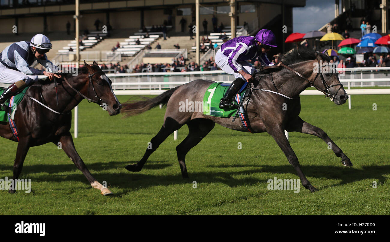 Capri cavalcato da Ryan Moore vince il Beresford Juddmonte Stakes di Curragh Racecourse, nella contea di Kildare. Foto Stock