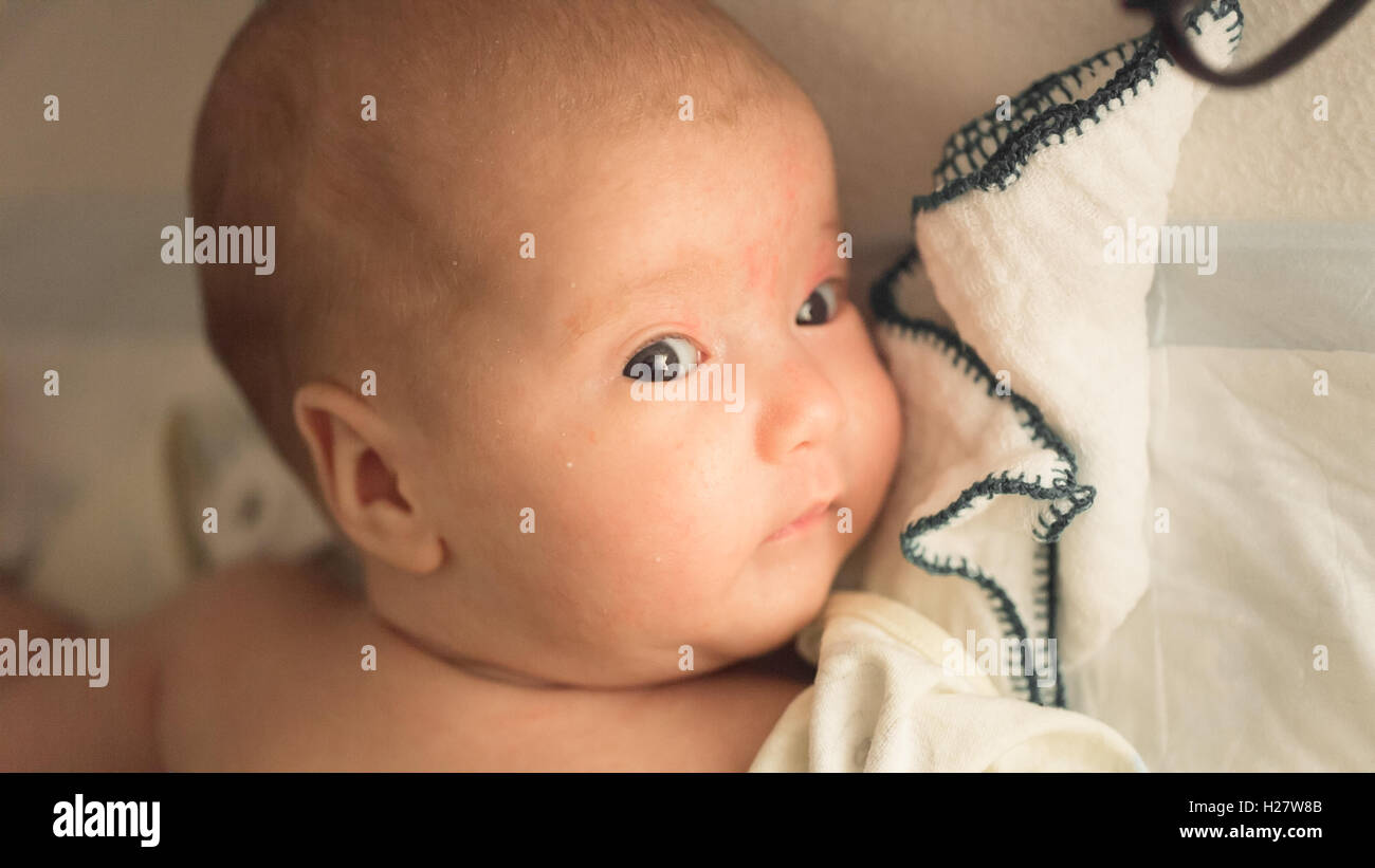 Little baby close-up Foto Stock