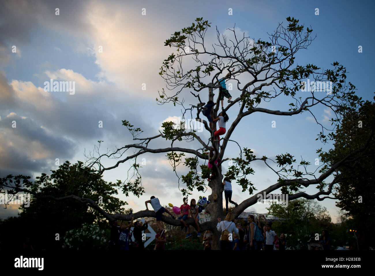 I bambini godono di arrampicarsi su un albero a Ciutadella Park di Barcellona. Foto Stock
