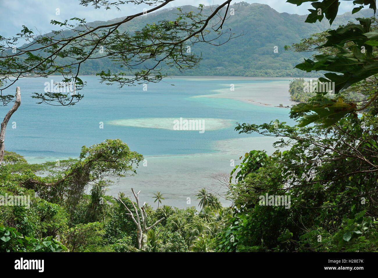 La vegetazione verde con vista oceano, Bourayne bay, Huahine isola, oceano pacifico del sud, Polinesia Francese Foto Stock