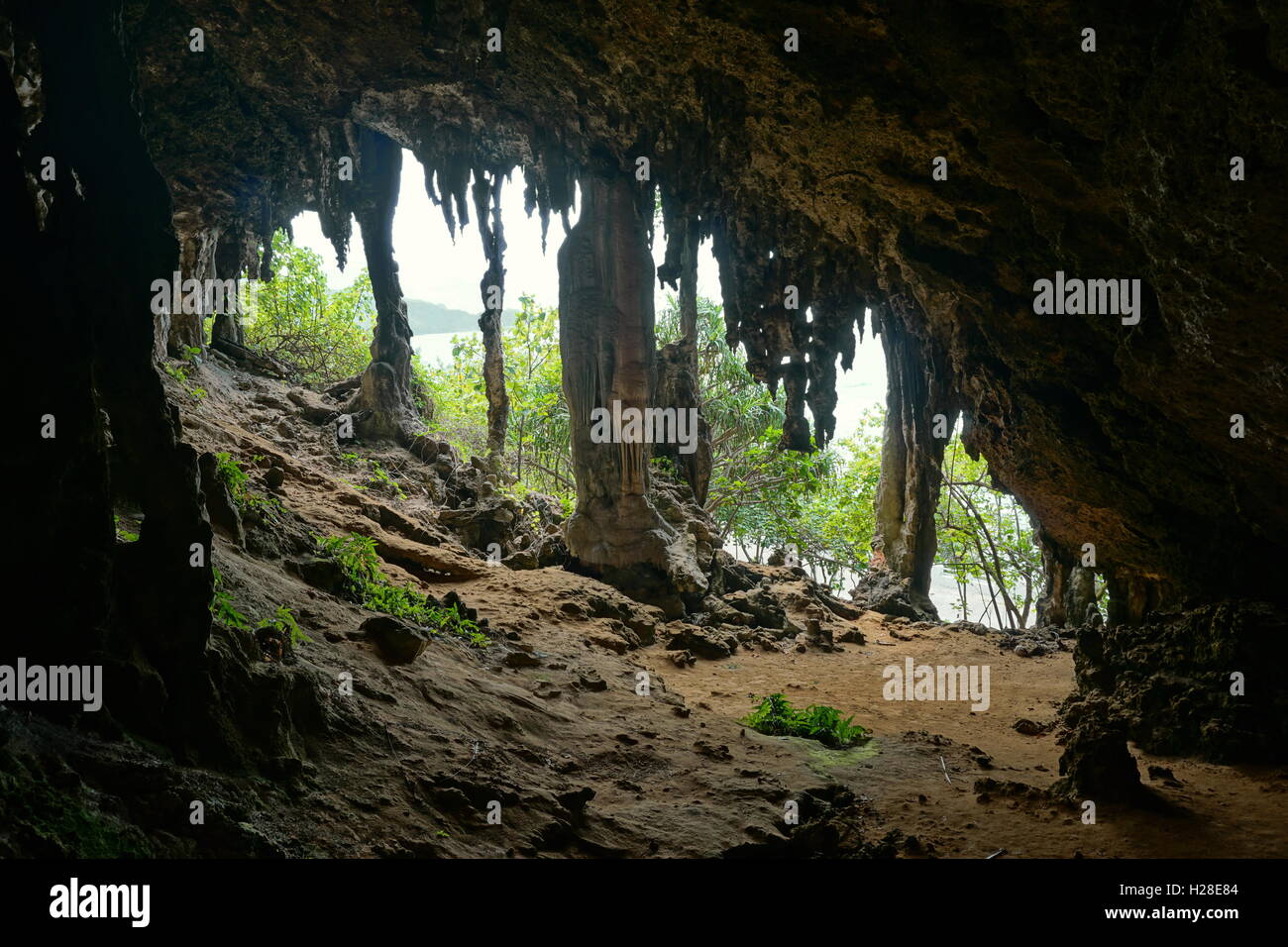 Grotte di calcare sulla isola di Rurutu, South Pacific Austral arcipelago, Polinesia Francese Foto Stock