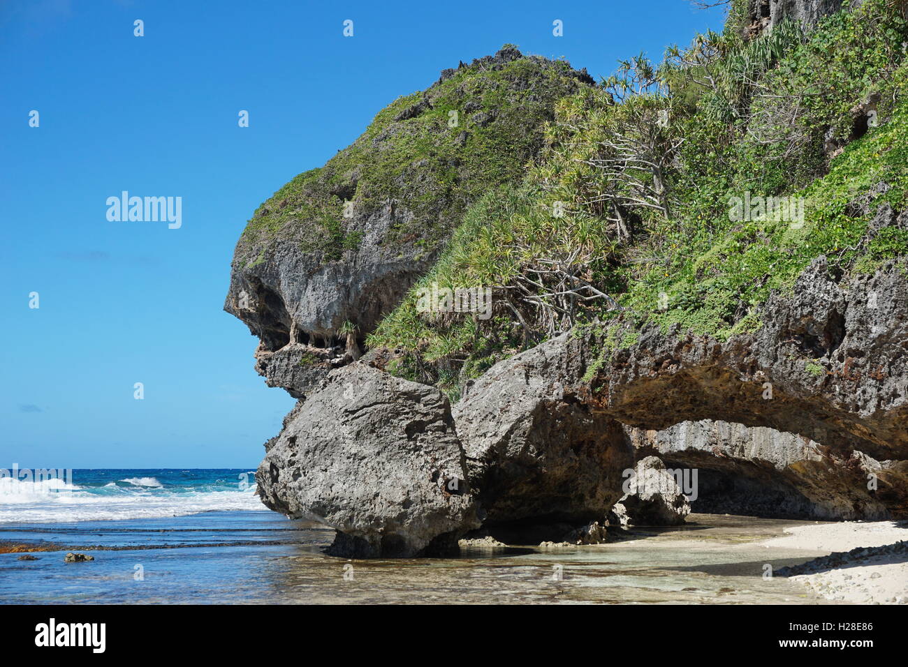 Naturale formazione rocciosa sull isola di Rurutu, cliff che assomiglia a un mostro di testa sulla riva del mare, Polinesia Francese Foto Stock