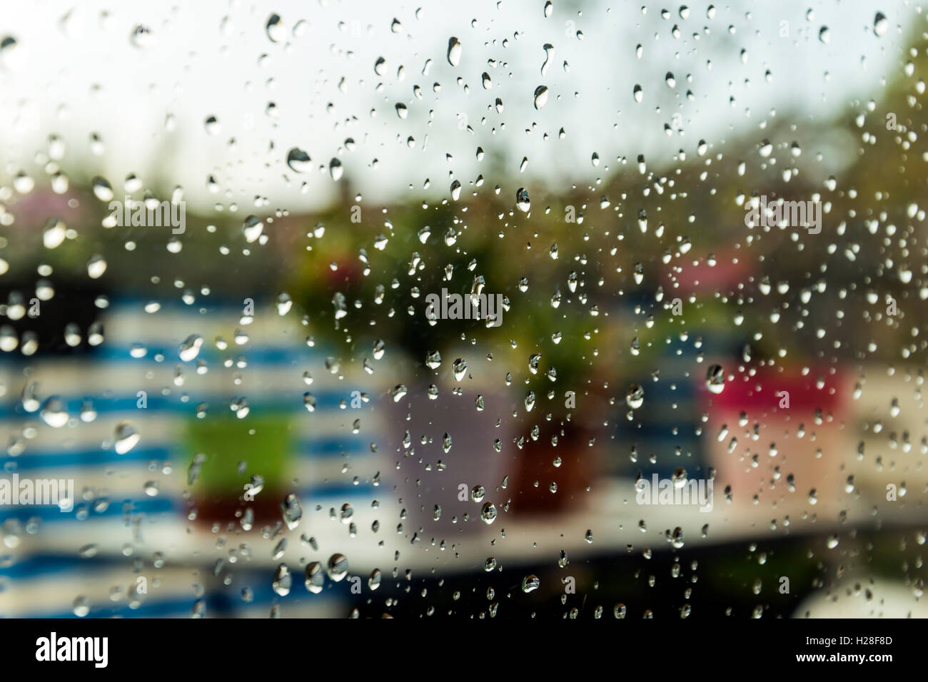 Pioggia sulla finestra immagini e fotografie stock ad alta risoluzione -  Alamy