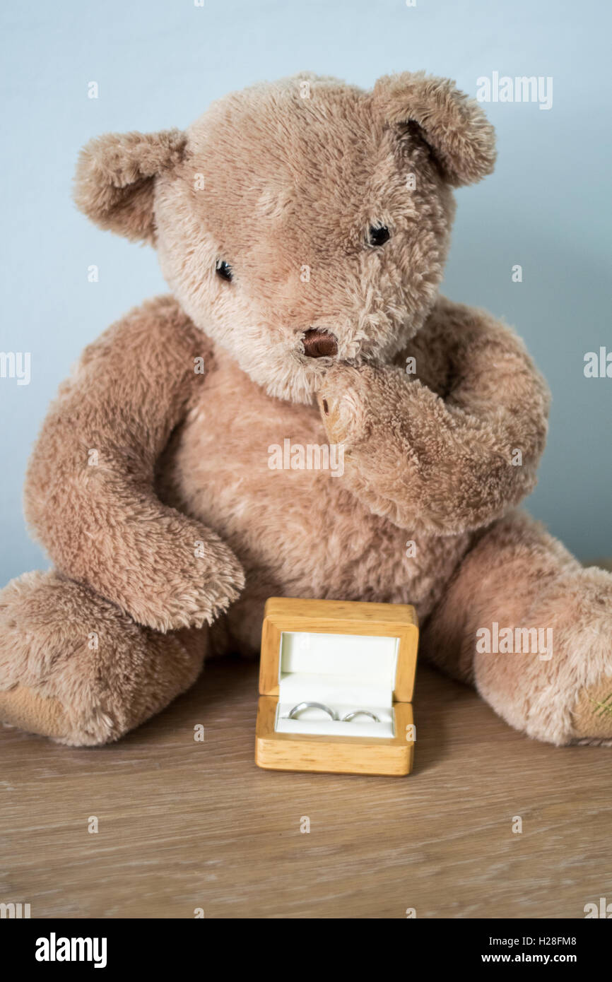 Orsacchiotto di peluche con anelli Foto Stock