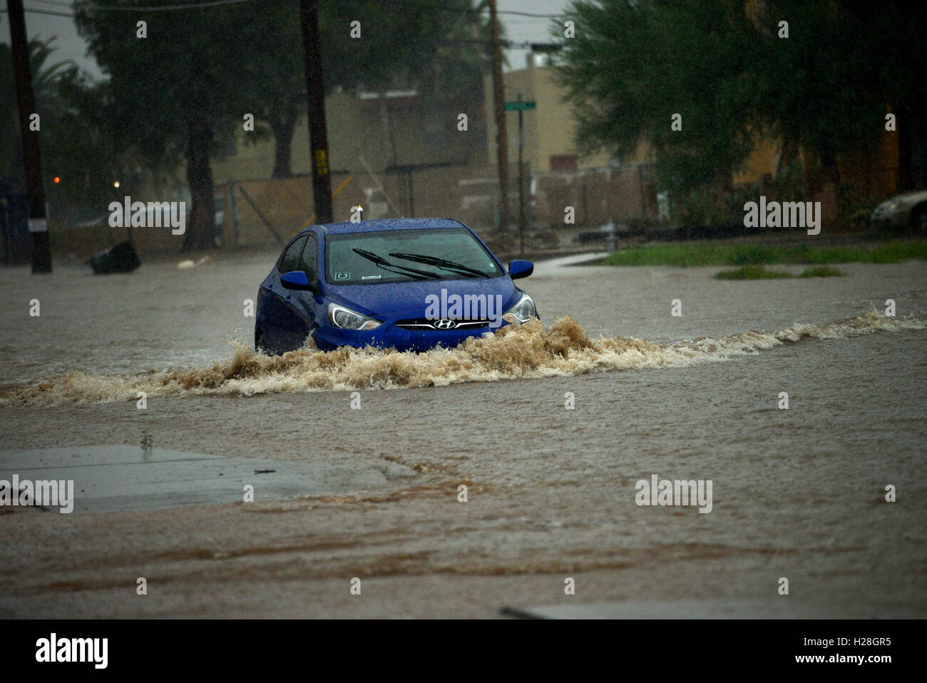 Un veicolo passeggeri aziona attraverso strade allagate durante una tempesta di monsone, Deserto Sonoran, Tucson, Arizona, Stati Uniti. Foto Stock