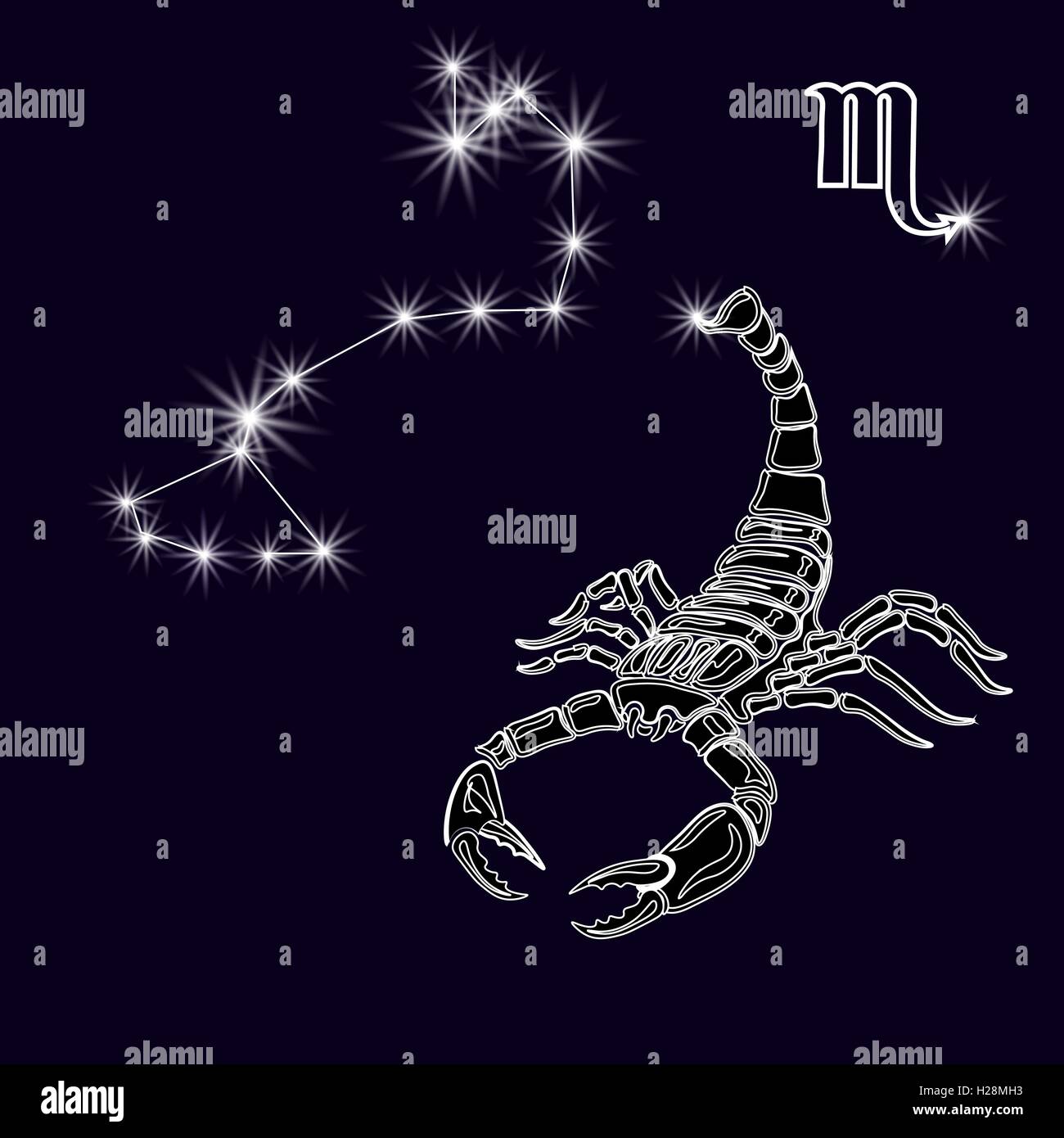 La Costellazione dello Scorpione. Scorpione bianco, segno zodiacale.  Tatuaggio. Realizzato con una predominanza di bianco su uno sfondo scuro.  illustrazione Immagine e Vettoriale - Alamy