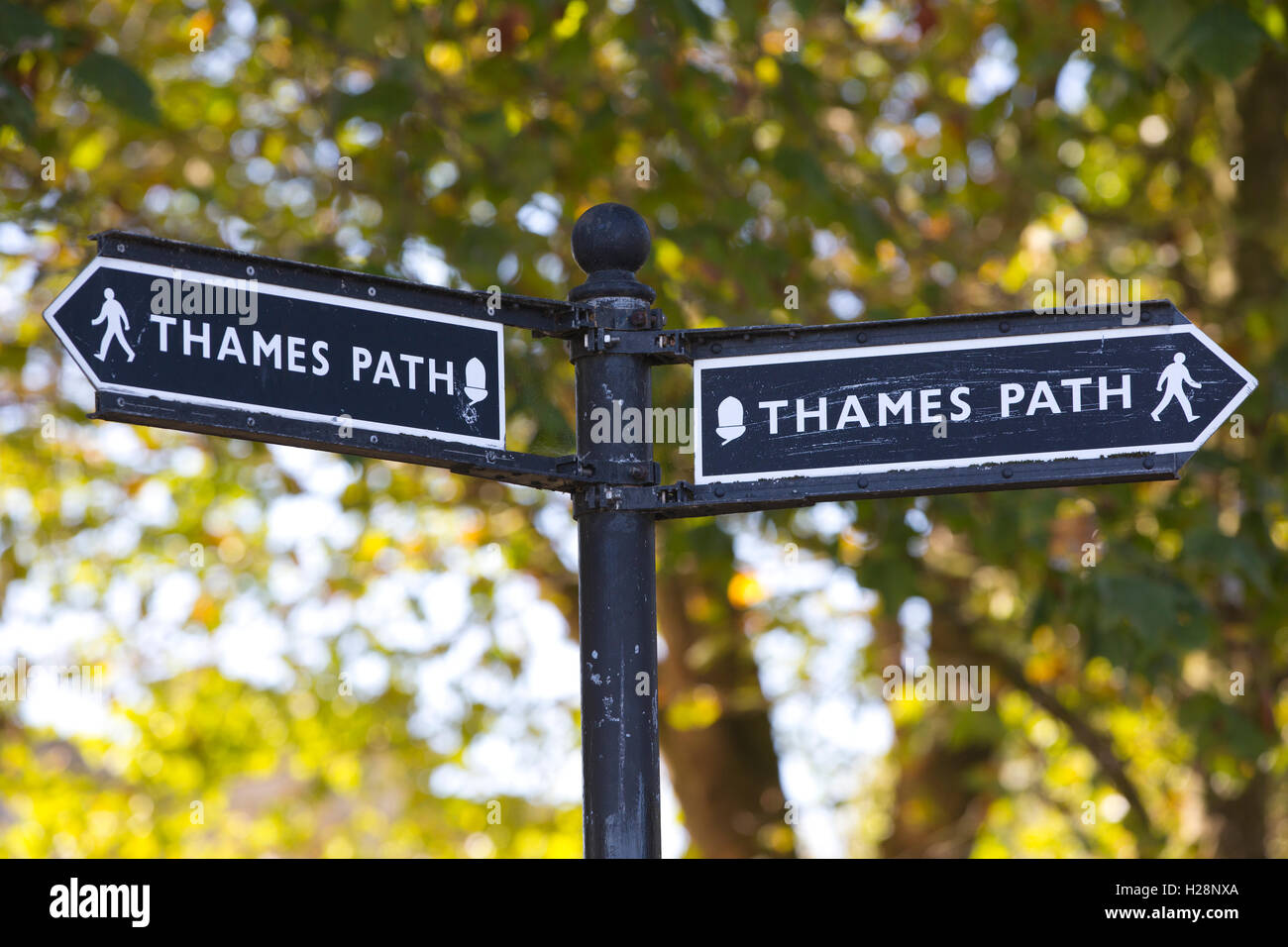 Thames Path, Riverside a piedi lungo il fiume Tamigi, Central London, England, Regno Unito Foto Stock