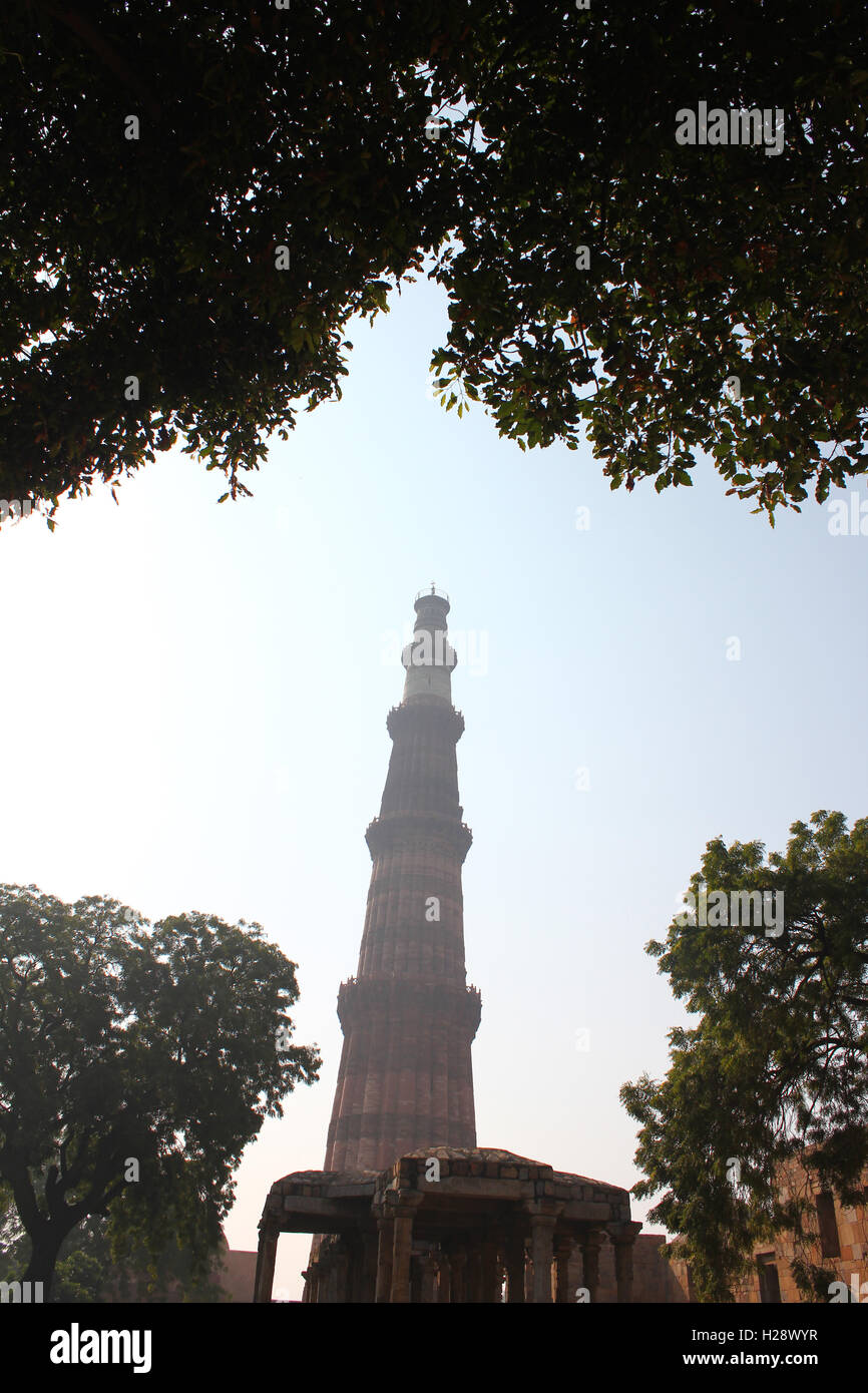 Qutub Minar con alberi e foglie Foto Stock