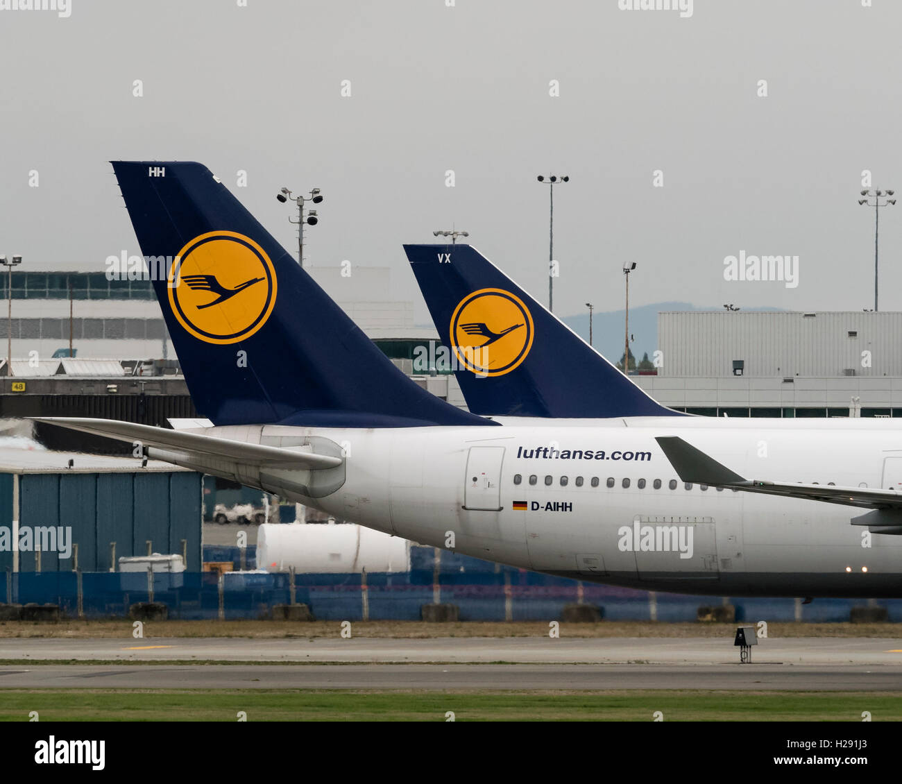 Loghi di Lufthansa Foto Stock