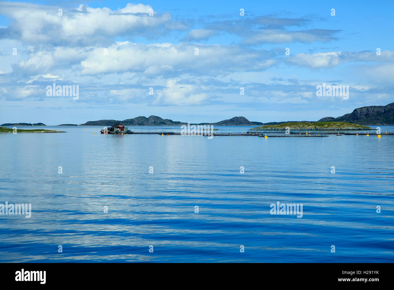 Pesce faming piccole isole a sud di Trondheim, Sor-Trondelag county, Norvegia Foto Stock