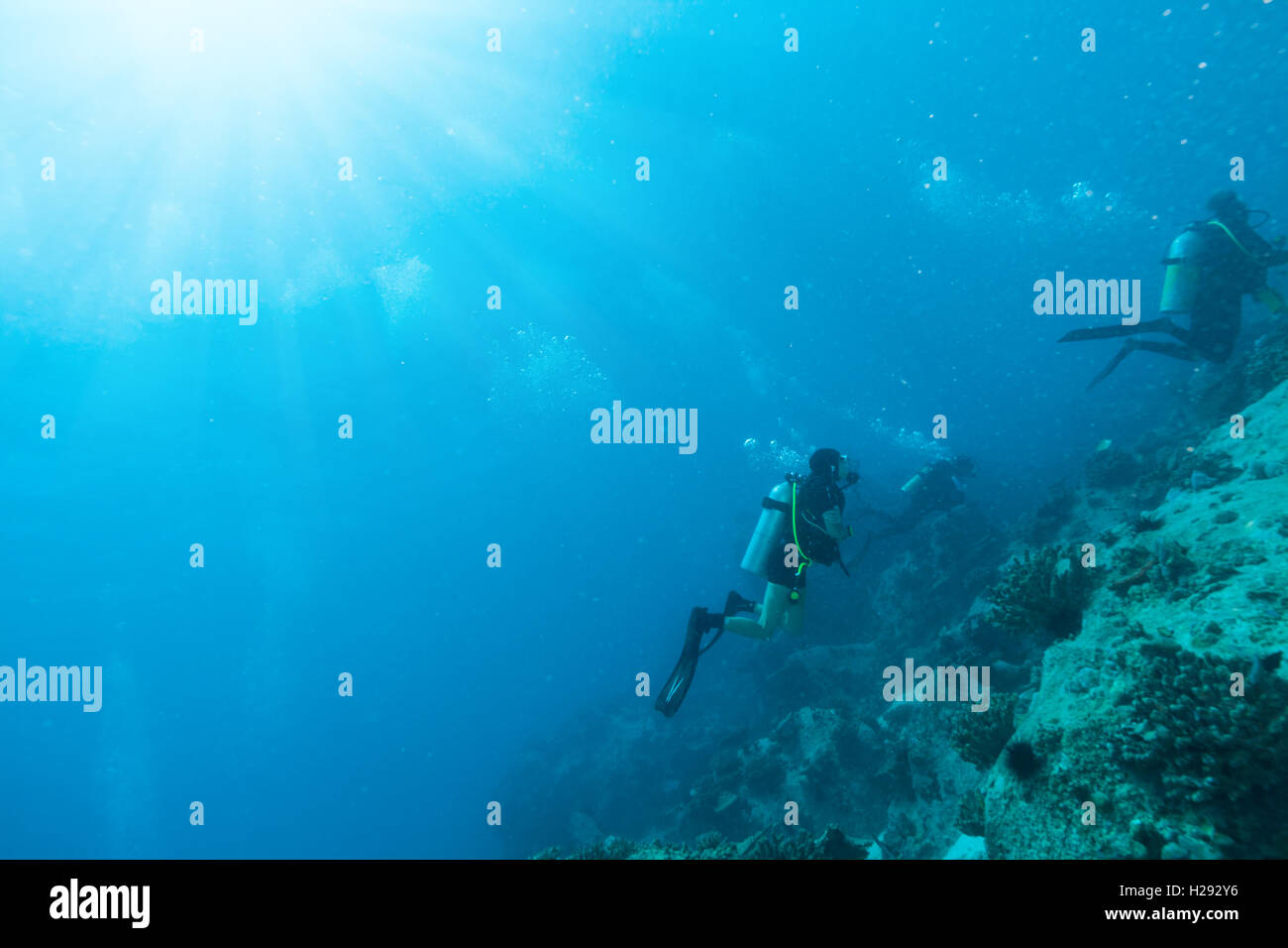 Gruppo di subacquei esplorare fondali. La vita subacquea con splendide rocce coralline e Foto Stock