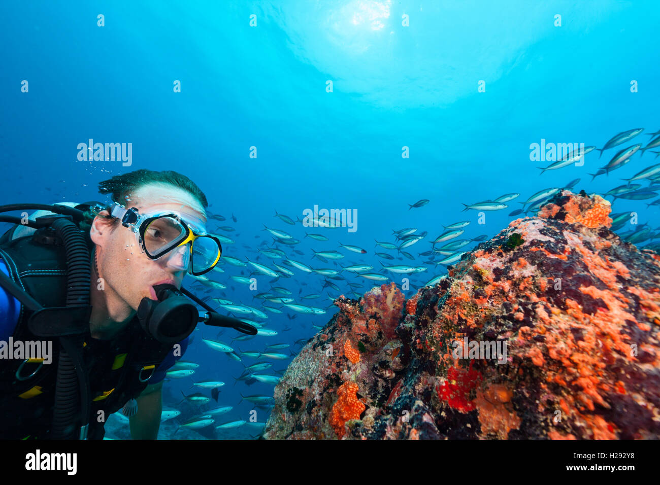 Giovane uomo scuba diver esplorare fondali. La vita subacquea con splendide rocce coralline e Foto Stock