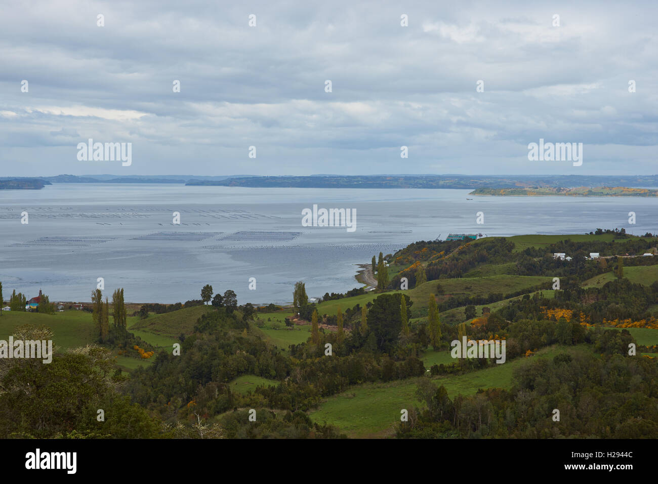 Acquacoltura sulla piccola isola di Quinchao nell arcipelago di Chiloe in Cile. Foto Stock