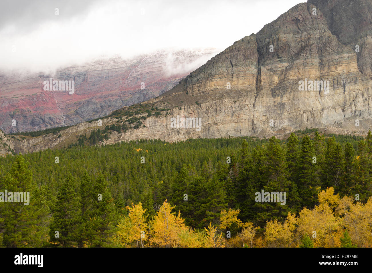 La stagione finisce con l'autunno di colore saturo nel Glacier National Park Foto Stock