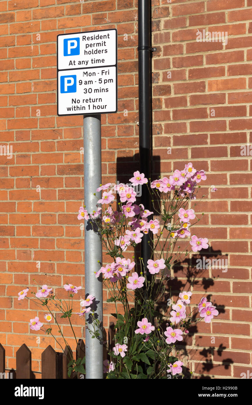 Un Resident Permit Holders solo segno di parcheggio in Basingstoke Foto Stock