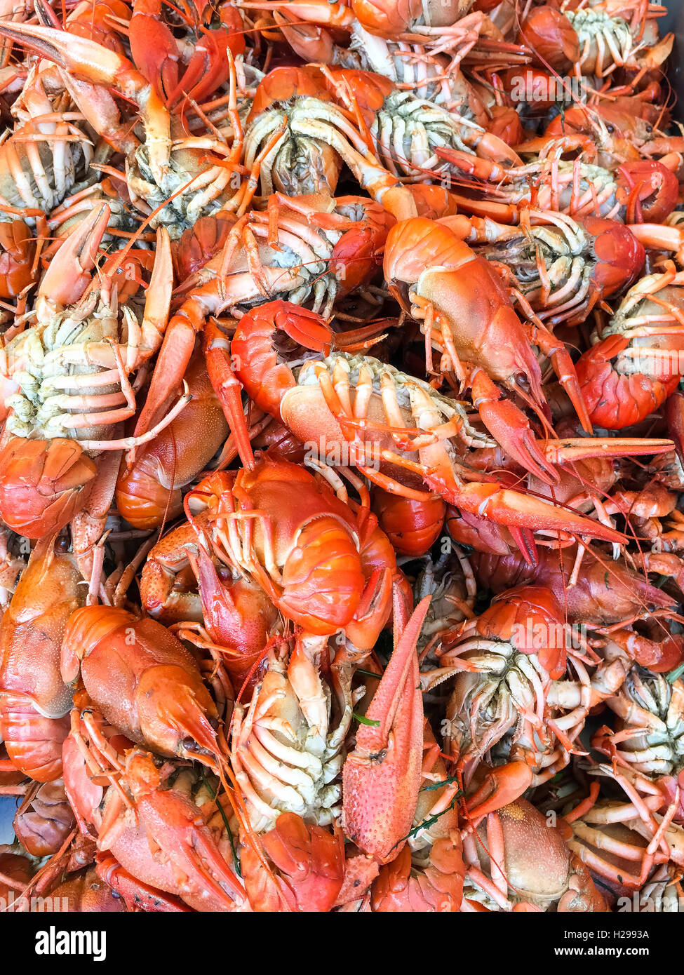 Le aragoste per la vendita nel mercato del pesce Foto Stock