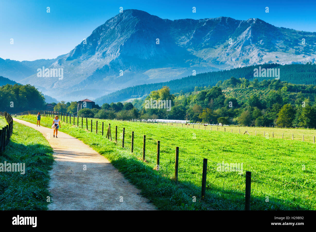 Percorso, prati e montagne. Foto Stock