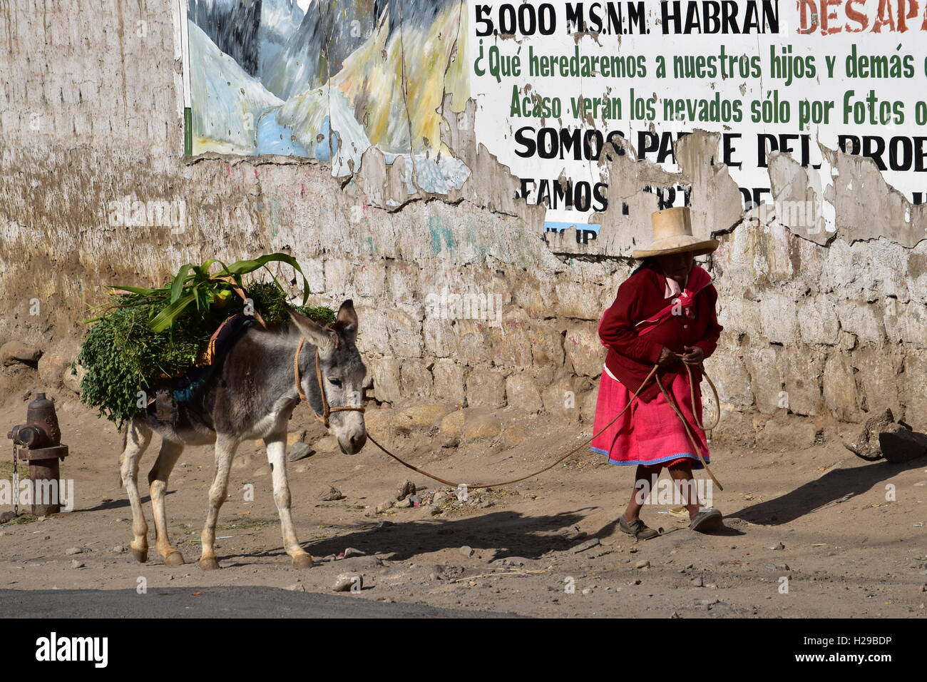 Donna che indossa un rosso abito tradizionale, con un asino, Caraz, Ande, Perù, Sud America Foto Stock