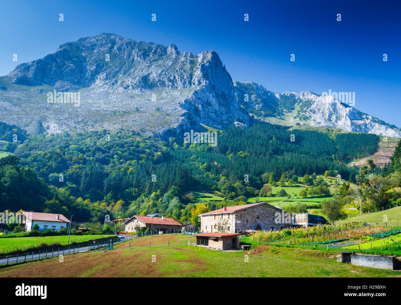 Paesaggio di montagna. Foto Stock