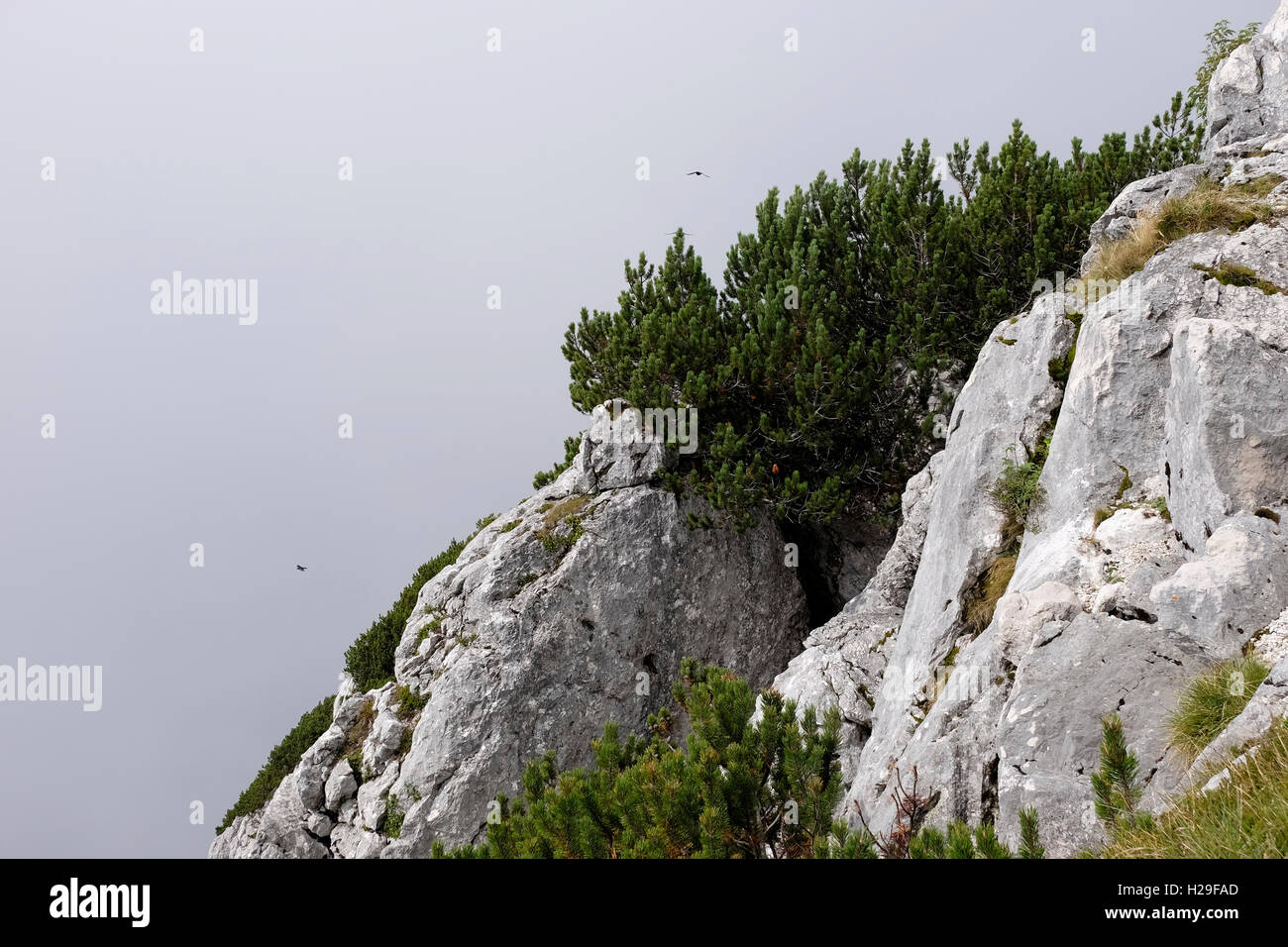 Alpi, Obersalzberg, Germania. Foto Stock