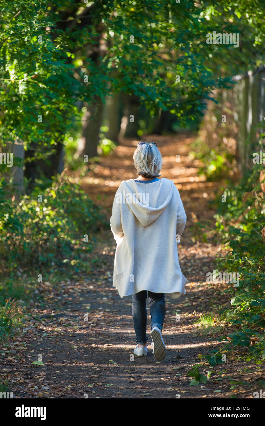 Una signora cammina il suo cane su una giornata d'estate su Wandsworth Comuni a Londra Foto Stock