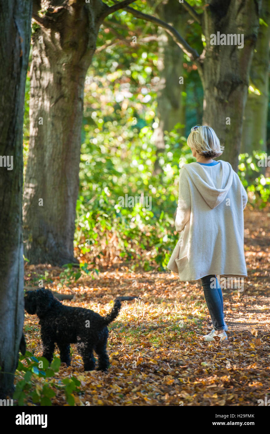 Una signora cammina il suo cane su una giornata d'estate su Wandsworth Comuni a Londra Foto Stock
