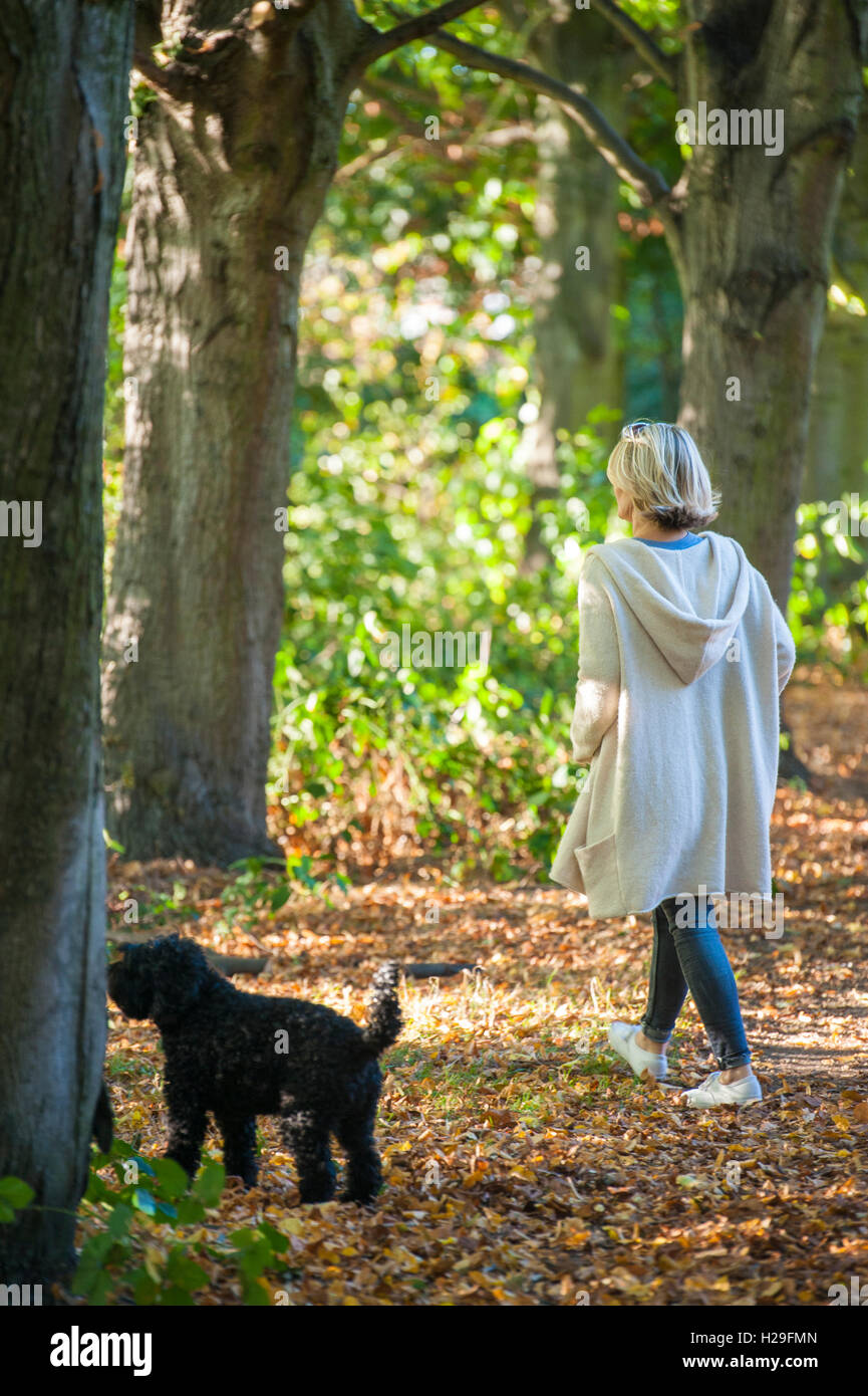 Una signora cammina il suo cane su una giornata d'estate su Wandsworth Comuni a Londra Foto Stock