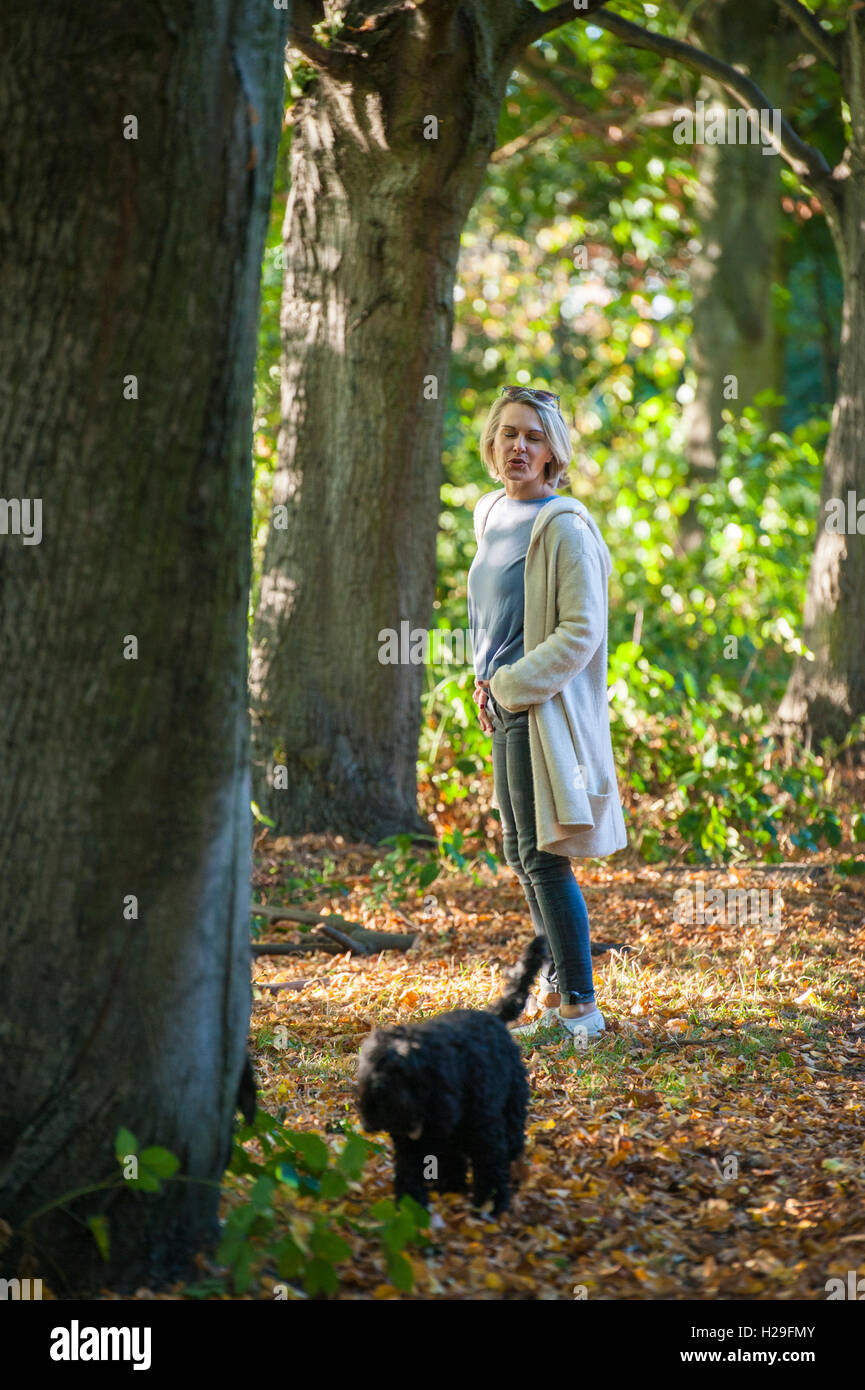 Una signora cammina il suo cane su una giornata d'estate su Wandsworth Comuni a Londra Foto Stock