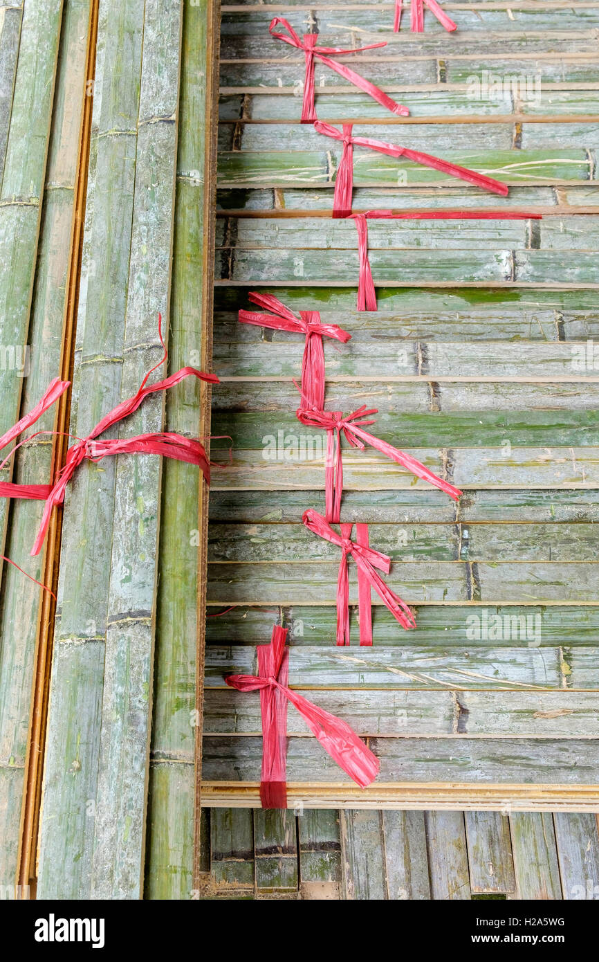 Impilati fasci di canne di bambù legate con un nastro rosso Foto Stock
