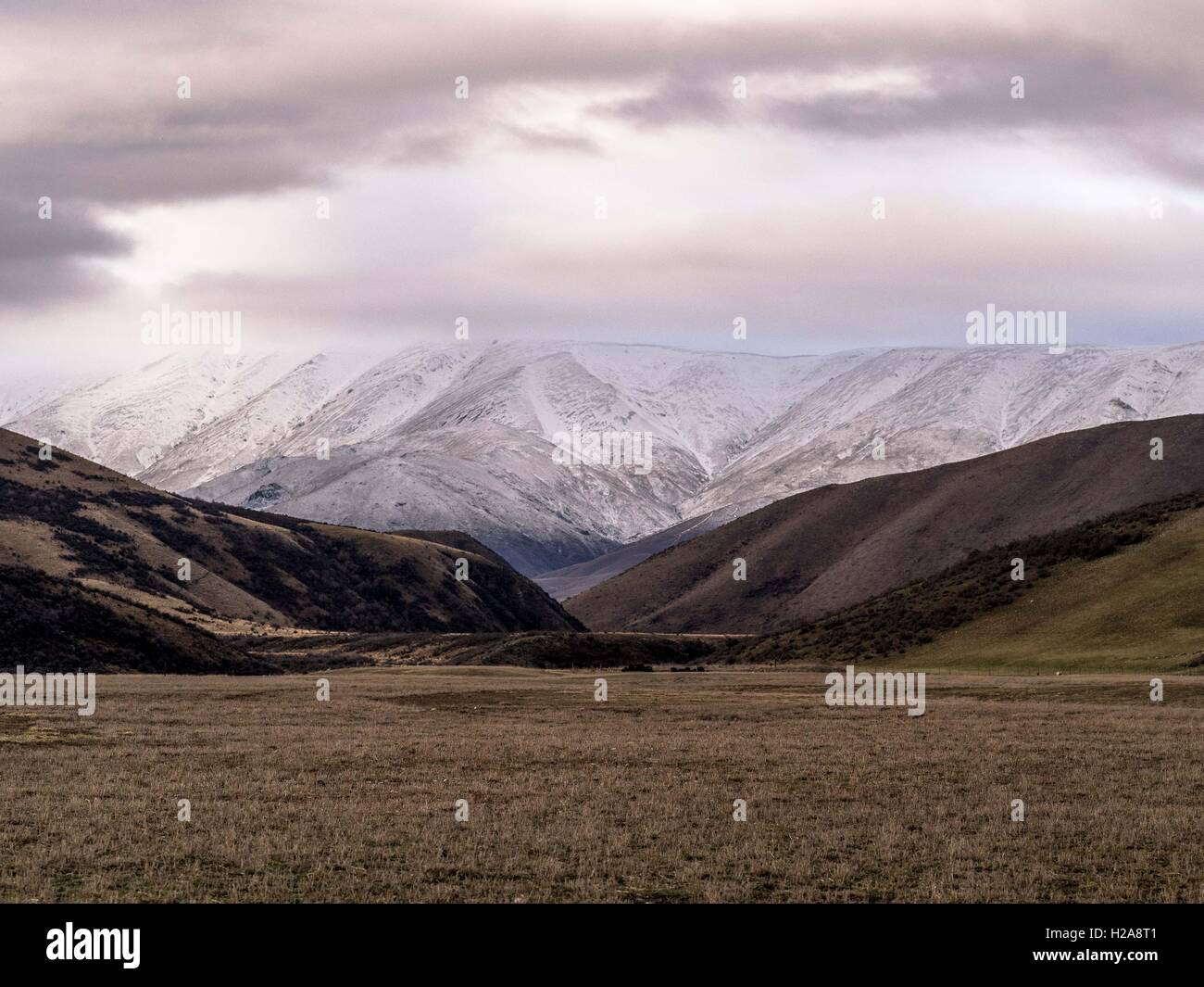 Central Otago Hawkdun paesaggio gamma sfumature di marrone e crema di pieghe di rotolamento livello Maniototo stoppie isola del sud NZ inverno Foto Stock