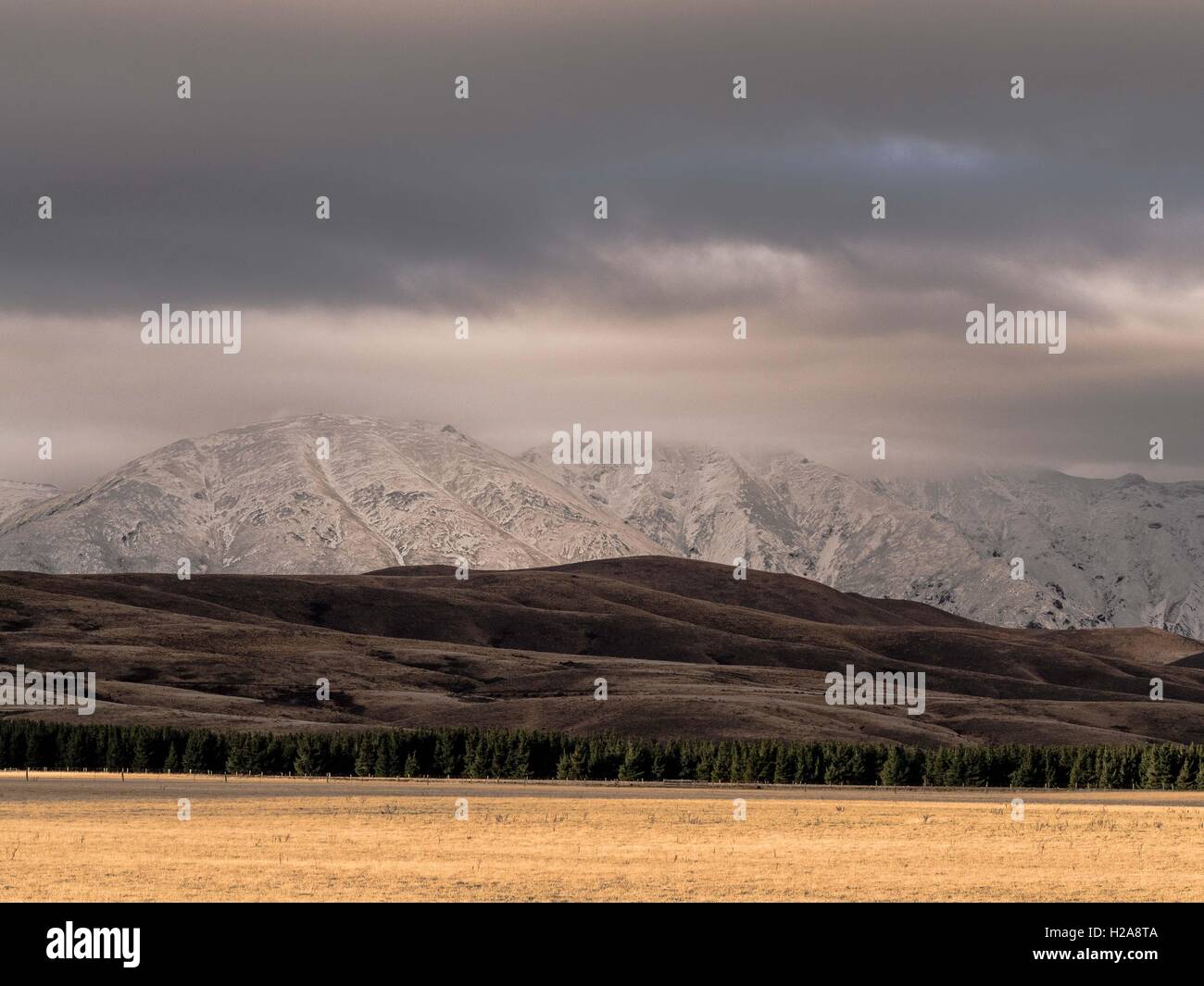 Central Otago Hawkdun paesaggio gamma sfumature di marrone e crema di pieghe di rotolamento livello Maniototo stoppie isola del sud NZ inverno Foto Stock